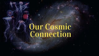 Our Cosmic Connection  The Souls Journey Unraveling the Cosmic Frequencies of Existence [upl. by Decker]