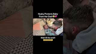 Dogs protect babies from harm love baby doglover [upl. by Ahtoelc]