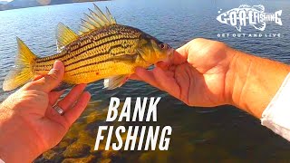 BANK fishing SAGUARO LAKE AZ [upl. by Ecirted]