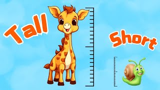 Tall and short song  kids song  nursery rhymes opposite song  Fun learning with Mini Mum Kids Tv [upl. by Notned]