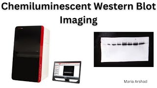 How to use ChemStudio Western Blot Imaging Systems by Analytik Jena western blot imager tutorial [upl. by Mannuela645]