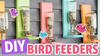 DIY Bird Feeders [upl. by Mudenihc]