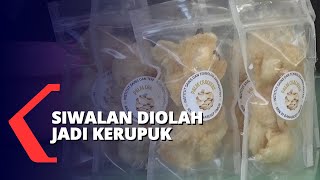 Siwalan DiolahJadi Kerupuk [upl. by Santoro]