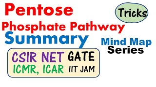 Pentose phosphate pathway biochemistry [upl. by Euqinim]