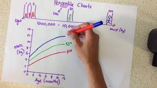 Percentile Charts  p21 [upl. by Bordiuk113]