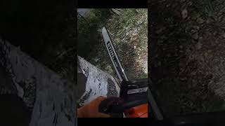 I Wish I Had These Tools When I Begun My Forestry Career STIHL MS 400 CM and Stalpen In Action [upl. by Naras]