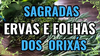 QUAIS SÃO AS ERVAS E FOLHAS SAGRADAS DOS ORIXÁS  o vídeo mais completo  RECOMENDO  Umbanda [upl. by Postman137]