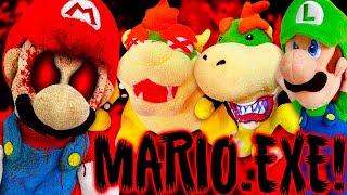 Crazy Mario Bros MARIOEXE [upl. by Washburn]