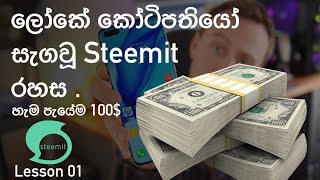 Steemit Sinhala lesson 01 [upl. by Latisha175]