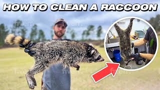 How to Clean A Raccoon [upl. by Atel]