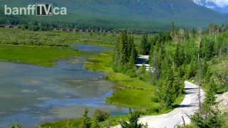 Vermilion Lakes Scenic Drive  Banff [upl. by Leverett]