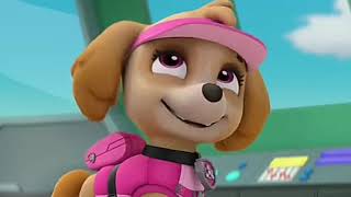 Paw Patrol MV Skase  We Dont Talk Anymore [upl. by Annerol637]