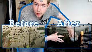 How To Clean Aquarium Glass Without Scratching For Beginners [upl. by Ahtanamas]