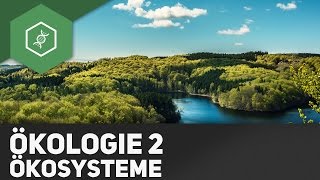 Ökosysteme  Ökologie 2 [upl. by Neeneg]