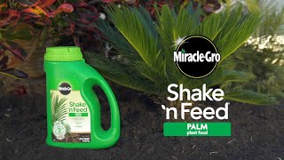 How to Use MiracleGro® Shake n Feed® Palm Plant Food [upl. by Dnomal]