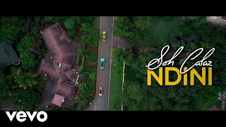 Seh Calaz  Ndini Official Video [upl. by Eelatan997]