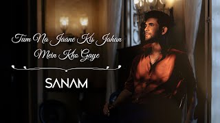 Tum Na Jaane Kis Jahan Mein Kho Gaye  Sanam [upl. by Atinas]