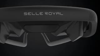 Selle Royal Lookin [upl. by Harikahs584]