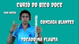 CURIÓ DO BICO DOCE  TOCADO NA FLAUTA DOCE COM NOTAS  musica da ritinha [upl. by Isacco]