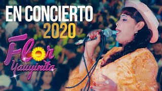 FLOR YAUYINITA  Mix La Campanita  Mix Huaylas  EN CONCIERTO 2022 [upl. by Ahswat668]