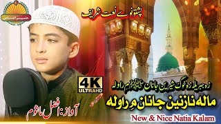 Pashto New HD Naat by 8 year Mashoom mala nazaneen janan me rawala by Afzal Mashoom [upl. by Suelo]