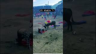 foryou reels trakas luisrconriquez jaripeomexicano mexico [upl. by Ahsined]