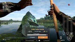 Trophy Redear Sunfish Guide  Everglades  Fishing Planet [upl. by Aetnahc]