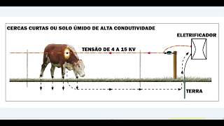 17°CERCA ELÉTRICA “DIMENSIONAMENTO RAIO DE AÇÃO CERCA LINEAR” [upl. by Tarr]