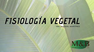 Introducción a la Fisiología Vegetal [upl. by Assyli]