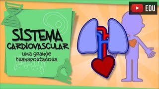 Sistema Cardiovascular  a parceria entre pulmões e coração [upl. by Arita]