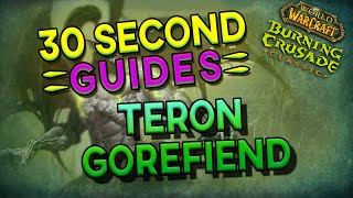 Teron Gorefiend  Black Temple  30 Second Guides [upl. by Neirod]