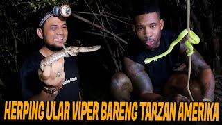 PANJI AJAK TARZAN AMERIKA CARI ULAR KE HUTAN DAPET BANYAK VIPER‼️ [upl. by Barnaby]