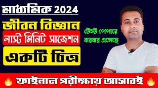 Madhyamik life science suggestion 2024💥চিত্রlast minute suggestionclass 10 life science 2024 [upl. by Omar]