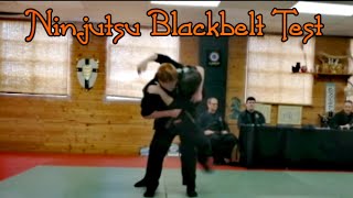 Ninjutsu Bujinkan sparring at Blackbelt testing  grappling and striking [upl. by Thessa308]