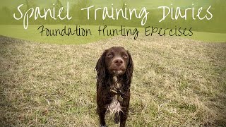 Gundog Training  Foundation HuntingQuartering Exercises [upl. by Nirda]