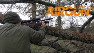 The Airgun Show pest control with the BSA CLX [upl. by Maurizio125]