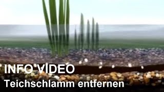 Teichschlamm entfernen mit Teichschlammentferner  Video Teichschlamm beseitigen [upl. by Elocn476]