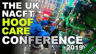 The UK Lameness Conference Highlights  TheHoofGP [upl. by Ahrens797]