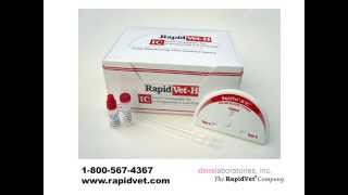 RapidVet H IC Feline Blood Typing Test [upl. by Caldwell]