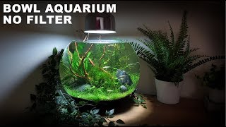 How To Make A No Filter 3 Gallon Fish Bowl Aquarium No Filter No Ferts No Co2 No Heater Aquascape [upl. by Imoyik]