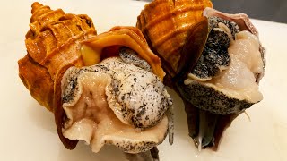 ALIEN SEA SNAIL  Japanese Street Food Whelk Sashimi Seafood [upl. by Issac]