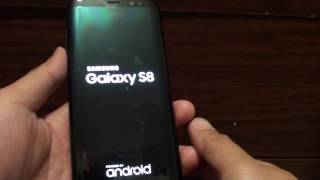 Samsung Galaxy S8 How to Force Restart a Frozen Screen [upl. by Emelen]