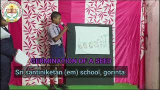 Germination of Seed by Vikas from 5th class [upl. by Satsok]