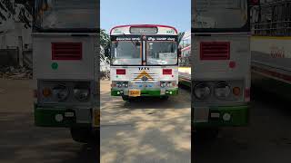 Korutla TGSRTC Bus shorts [upl. by Klinger]