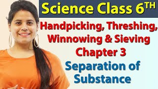 Handpicking Threshing Winnowing amp Sieving  Chapter 3  Separation of Substances  Science Class 6 [upl. by Tatia545]