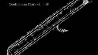 23 Clarinets  Clarinet Choir  Beelzebub  Solo for Contrabass Clarinet [upl. by Anpas]