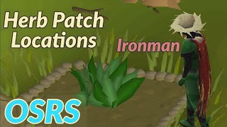 OSRS  Herb Run  Patch Location Farming Guide UPDATED [upl. by Anneis803]