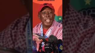 Julius Malema celebrates ANC failure in 2024 South African elections 😅 [upl. by Proffitt]