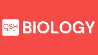 QCE Biology Masterclass  QSH External Exam Bootcamp [upl. by Hultgren]