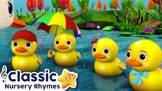 5 Little Ducks  Classic Nursery Rhymes  Little Baby Bum [upl. by Ielirol]